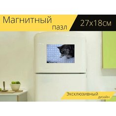 Магнитный пазл "Кошка, мейн кун, зима" на холодильник 27 x 18 см. Lots Prints