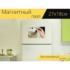 Магнитный пазл "Домашние животные, собака, самоед" на холодильник 27 x 18 см. Lots Prints