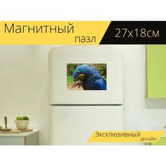 Магнитный пазл "Синие ара, гиацинтовый ара, анодоринх" на холодильник 27 x 18 см. Lots Prints