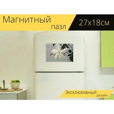Магнитный пазл "Цветок, жасмин, духи" на холодильник 27 x 18 см. Lots Prints
