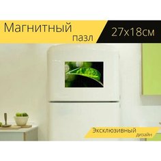 Магнитный пазл "Лист, листья, синий" на холодильник 27 x 18 см. Lots Prints