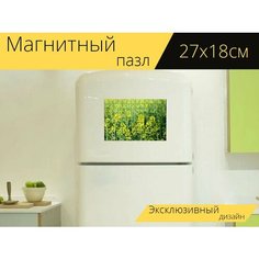 Магнитный пазл "Рапсовое, цветущий рапс, поле" на холодильник 27 x 18 см. Lots Prints
