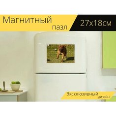Магнитный пазл "Бордовый, дог, собака" на холодильник 27 x 18 см. Lots Prints