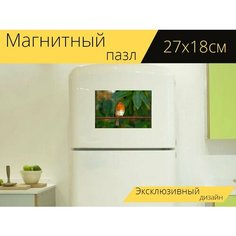 Магнитный пазл "Робин, птица, красная малиновка" на холодильник 27 x 18 см. Lots Prints