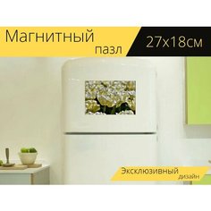 Магнитный пазл "Тюльпан, цветок тюльпана, поле тюльпанов" на холодильник 27 x 18 см. Lots Prints