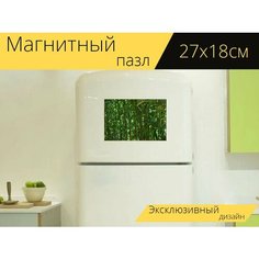 Магнитный пазл "Бамбук, листья, парк" на холодильник 27 x 18 см. Lots Prints
