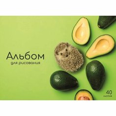 Альбом д/рис А4 40л на клею Авокадо, обл мел карт, бл офс 100г/м2 Calligrata