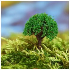 Миниатюра кукольная, набор 4 шт «Дерево» размер 1 шт: 2×2×3,5 см, цвет зелёный Noname