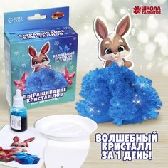 Набор для творчества. Лучистые кристаллы «Зайчик» Россия