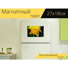 Магнитный пазл "Нарцисс, цветок, завод" на холодильник 27 x 18 см. Lots Prints