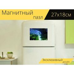 Магнитный пазл "Сибас, рыбы, аквариум" на холодильник 27 x 18 см. Lots Prints
