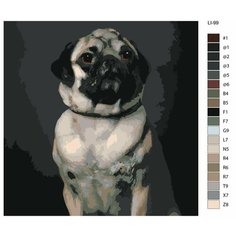 Картина по номерам,"Живопись по номерам", 48 x 48, LI-99, мопс