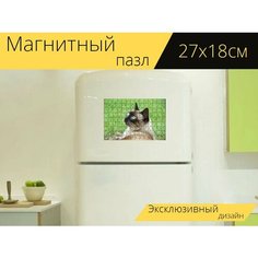 Магнитный пазл "Кот, животное, сиамский тайский круглая голова" на холодильник 27 x 18 см. Lots Prints