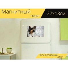 Магнитный пазл "Покрытый сосочками, белый фон, собака" на холодильник 27 x 18 см. Lots Prints