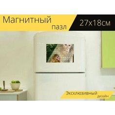 Магнитный пазл "Обезьяны, макака, детка" на холодильник 27 x 18 см. Lots Prints