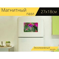 Магнитный пазл "Фуксия, цвести, блум" на холодильник 27 x 18 см. Lots Prints