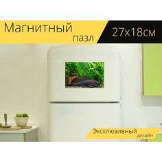 Магнитный пазл "Рыбы, аквариум, сом" на холодильник 27 x 18 см. Lots Prints