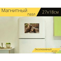 Магнитный пазл "Медведь, медведи, зоопарк" на холодильник 27 x 18 см. Lots Prints