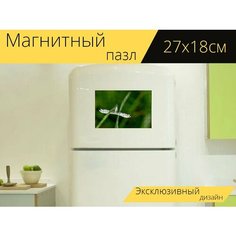 Магнитный пазл "Природа, насекомое, бабочка" на холодильник 27 x 18 см. Lots Prints