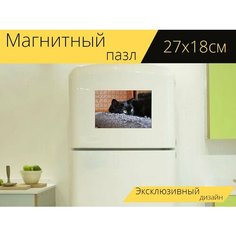 Магнитный пазл "Черный кот, когтеточка, кот смотрит" на холодильник 27 x 18 см. Lots Prints