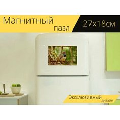 Магнитный пазл "Птица, пахаро, природа" на холодильник 27 x 18 см. Lots Prints