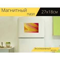 Магнитный пазл "Тюльпан, лист, цветок" на холодильник 27 x 18 см. Lots Prints