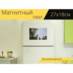 Магнитный пазл "Крошечная птичка, природа, колибри" на холодильник 27 x 18 см. Lots Prints