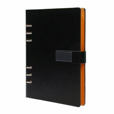 Органайзер на кольцах, обложка ПВХ, А5, 140 л, клетка, с хлястиком, микс Россия