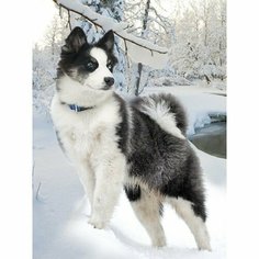 Подарочный набор для творчества . Алмазная мозаика . От 7 лет China