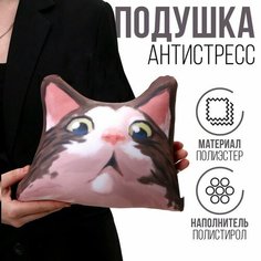 Антистресс подушка «Удивлённый кот» mni mnu