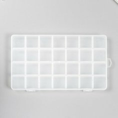 Шкатулка пластик для мелочей "Прямоугольная" 28 отделений 21х13х1,8 см Noname