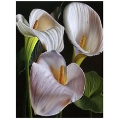 Алмазная мозаика на холсте с подрамником (картина стразами, алмазная вышивка) Каллы 40x50 см. Boom Boom Shop