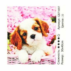 Алмазная мозаика "Щенок", полная выкладка, на подрамнике, 30*40 см нет бренда