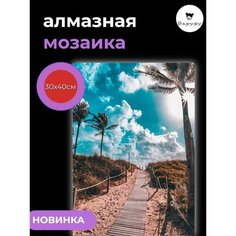 Алмазная мозаика/Живопись/Картина стразами "Дорога на пляж" 30х40 см Барубу