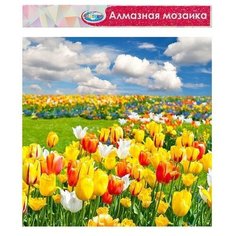 Алмазная мозаика без подрамника, частичное заполнение "Тюльпаны" 40x50 см Centrum