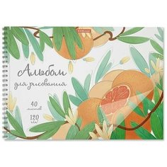 Альбом для рисования А4, Juice Fruits Случай