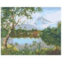 Картина по номерам Родные просторы 40х50 см АртТойс