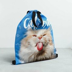 Мешок для обуви Cat Bag, два вида ручек, 41х31 см Нет бренда