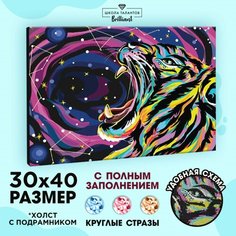 Алмазная мозаика на подрамнике с полным заполнением «Звёздный тигр», 30х40см Россия