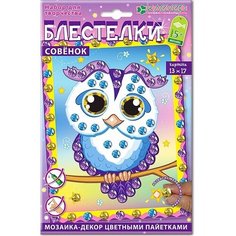 Набор для изготовления картины «Совенок» Clever