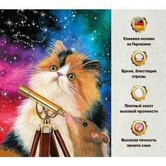 Алмазная мозаика 60х45, на подрамнике, полная выкладка квадратными стразами, Животные, Бабочки Даймонд Канвас
