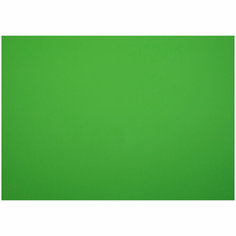 Картон плакатный 48*68см, Мульти-Пульти, 10л, мелованный в пакете, зеленый, 380г/м2