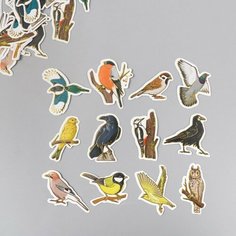Наклейки для творчества "Городские и лесные птицы" тиснение золото набор 48 шт 9х7х0,8 см Арт Узор