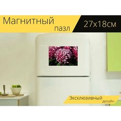 Магнитный пазл "Хризантемы, цветы, осень" на холодильник 27 x 18 см. Lots Prints