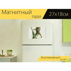 Магнитный пазл "Гриль, кузнечик, насекомое" на холодильник 27 x 18 см. Lots Prints