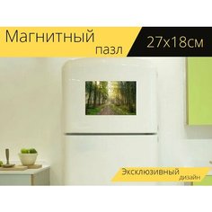 Магнитный пазл "Лес, солнце, тень" на холодильник 27 x 18 см. Lots Prints