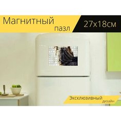 Магнитный пазл "Кот, ухо, вид" на холодильник 27 x 18 см. Lots Prints