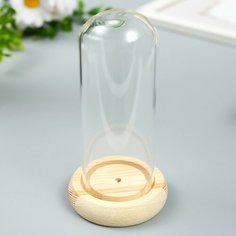 Клош стеклянный мини 13,2х6,4х6,4 см Noname