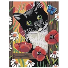 Картина по номерам, "Живопись по номерам", 75 x 100, A140, котёнок, забор, мак, бабочка, природа
