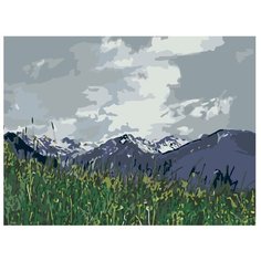 Картина по номерам, "Живопись по номерам", 36 x 48, Z4693